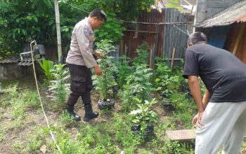 Bhabinkamtibmas Dorong Ketahanan Pangan Desa di Lombok Barat