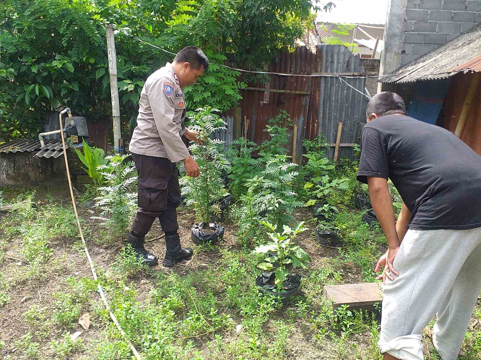 Polsek Kuripan Apresiasi Upaya Ketahanan Pangan Warga Jagaraga
