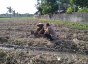 Bhabinkamtibmas Desa Kuripan Beri Motivasi Pemanfaatan Pekarangan untuk Ketahanan Pangan