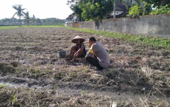 Sinergi Polri dan Masyarakat dalam Mewujudkan Ketahanan Pangan di Lombok Barat
