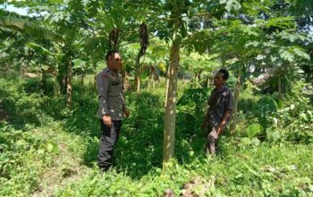 Sinergi Warga dan Polisi Gerakkan Pertanian Rumah Tangga