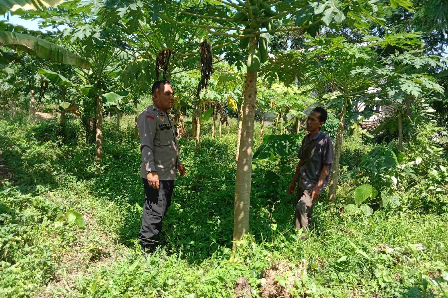Sinergi Warga dan Polisi Gerakkan Pertanian Rumah Tangga