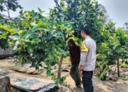 Polri dan Petani Bersatu Wujudkan Program Pangan Nasional di Lombok Barat