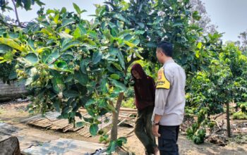 Polri dan Petani Bersatu Wujudkan Program Pangan Nasional di Lombok Barat
