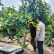Polri dan Petani Bersatu Wujudkan Program Pangan Nasional di Lombok Barat