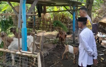 Bhabinkamtibmas Desa Senggigi Ajak Warga Maksimalkan Lahan Kosong