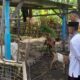 Sinergi Polri dan Warga Senggigi Wujudkan Ketahanan Pangan