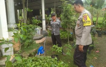 Dukung Pertanian Pekarangan, Polri Hadir Erat di Tengah Masyarakat di Sekotong