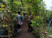 Lombok Barat, NTB – Kepolisian Sektor Kuripan, melalui personel Bhabinkamtibmasnya, terus menunjukkan komitmen dalam mendekatkan diri dengan masyarakat sekaligus mendukung program-program strategis pemerintah hingga ke tingkat akar rumput. Salah satu wujud nyata dari upaya ini terlihat pada Rabu (14/05/2025), ketika Bhabinkamtibmas Desa Kuripan Utara melaksanakan kunjungan dan silaturahmi di Dusun Pesongoran. Fokus utama kunjungan kali ini adalah menyambangi Komunitas Pemuda Peduli Lingkungan yang berlokasi di dusun tersebut. Pertemuan yang berlangsung santai namun penuh makna ini dimulai sekitar pukul 09.30 WITA dan dihadiri oleh sejumlah perwakilan pemuda anggota komunitas. Meningkatkan Sinergi dan Kesadaran Pangan Lokal Kegiatan yang diinisiasi oleh Bhabinkamtibmas Desa Kuripan Utara ini bertujuan ganda: pertama, mempererat jalinan silaturahmi dan komunikasi yang sudah terjalin baik antara pihak kepolisian dengan warga binaan, khususnya komunitas pemuda. Kedua, dan tak kalah pentingnya, adalah mensosialisasikan serta mendorong partisipasi aktif komunitas dalam program ketahanan pangan nasional, dengan fokus pada skala rumah tangga dan komunitas. Di tengah tantangan global terkait ketersediaan pangan, inisiatif di tingkat lokal seperti yang digaungkan oleh Bhabinkamtibmas ini menjadi sangat relevan. Konsep ketahanan pangan yang disampaikan merujuk pada kemandirian dalam memenuhi kebutuhan pangan keluarga atau komunitas, salah satunya melalui pemanfaatan lahan pekarangan kosong yang kerap kali belum termanfaatkan secara optimal. Pentingnya Peran Pemuda dan Pemanfaatan Pekarangan Memilih Komunitas Pemuda Peduli Lingkungan sebagai sasaran sosialisasi bukanlah tanpa alasan. Kaum muda memiliki energi, kreativitas, dan potensi besar sebagai agen perubahan di masyarakat. Keterlibatan mereka dalam program ketahanan pangan diharapkan dapat menjadi penggerak dan contoh bagi warga lainnya, sekaligus menumbuhkan kesadaran akan pentingnya kemandirian pangan dari usia dini. Dalam dialog yang interaktif, Bhabinkamtibmas menjelaskan betapa mudahnya memulai program ketahanan pangan mandiri. Dengan menanam sayuran atau tanaman pangan lainnya di pekarangan kosong, warga dapat menghasilkan sumber pangan yang sehat, segar, dan tentunya menghemat biaya belanja. Selain itu, kegiatan berkebun juga bisa menjadi hobi positif yang produktif bagi para pemuda. Berbagai jenis sayuran yang cocok ditanam di pekarangan, seperti cabai, tomat, terong, bayam, atau kangkung, dibahas sebagai contoh konkret. Dukungan Penuh dari Pihak Kepolisian Sektor Kuripan Menanggapi kegiatan positif ini, Kapolres Lombok Barat, Polda NTB, AKBP Yasmara Harahap, S.I.K., melalui Kapolsek Kuripan, Polres Lombok Barat, Ipda I Wayan Eka Ariyana, S.H., menyampaikan apresiasinya. Menekankan bahwa kegiatan seperti ini merupakan bagian integral dari tugas kepolisian, khususnya Bhabinkamtibmas, dalam melakukan pembinaan masyarakat. "Kegiatan ini sangat positif. Kami dari Kepolisian, khususnya Bhabinkamtibmas, memiliki peran strategis dalam membina masyarakat hingga ke tingkat dusun. Program ketahanan pangan ini bukan hanya soal menanam, tapi juga membangun kemandirian masyarakat," ujar Ipda I Wayan Eka Ariyana. Kapolsek menambahkan, bahwa mengapresiasi partisipasi aktif komunitas pemuda di Kuripan Utara ini. “Mereka adalah aset penting dalam mewujudkan lingkungan yang lestari sekaligus mendukung ketahanan pangan lokal. Sinergi antara Polri dan masyarakat, terutama generasi muda, sangat krusial untuk menjaga stabilitas dan kesejahteraan,” ujarnya.