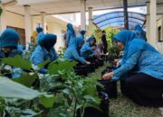 Inisiatif Tanam Bersama: Langkah Nyata Wujudkan Ketahanan Pangan Keluarga