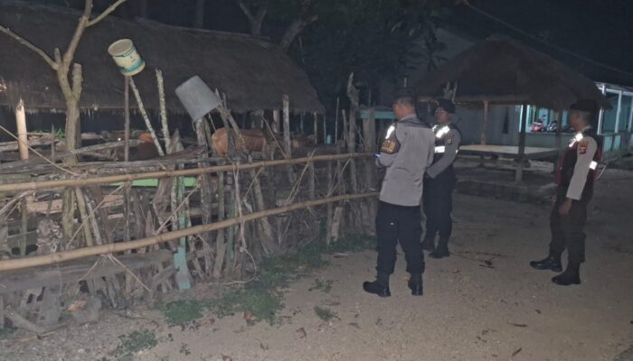 Amankan Hewan Kurban, Polsek Sekotong Intensifkan Patroli Malam di Kandang Warga