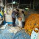 Panen Raya Jagung di Pasir Putih, Bhabinkamtibmas Turun Tangan Jaga Ketahanan Pangan