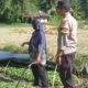 Dukung Ketahanan Pangan, Bhabinkamtibmas Desa Beru Pantau Kebun Sayur Warga