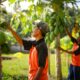 Dari Balik Jeruji, Warga Binaan Lapas Lombok Barat Bertransformasi Jadi Calon Petani Unggul