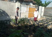 Sinergi Polri-Masyarakat Kuripan Perkuat Program Ketahanan Pangan