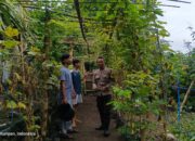 Peran Aktif Polisi dan Pemuda dalam Wujudkan Ketahanan Pangan Lokal