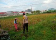 Sinergi Polri dan Warga Kembangkan Ketahanan Pangan Desa