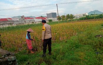 Sinergi Polri dan Warga Kembangkan Ketahanan Pangan Desa