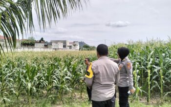 DDS Bhabinkamtibmas: Pendekatan Humanis Jaga Kamtibmas dan Pangan
