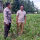 Ketahanan Pangan Jadi Misi Polsek Kuripan Bangun Silaturahmi