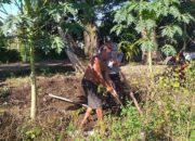 petani, pangan, polisi, Lombok, lahan, binaan, Kuripan