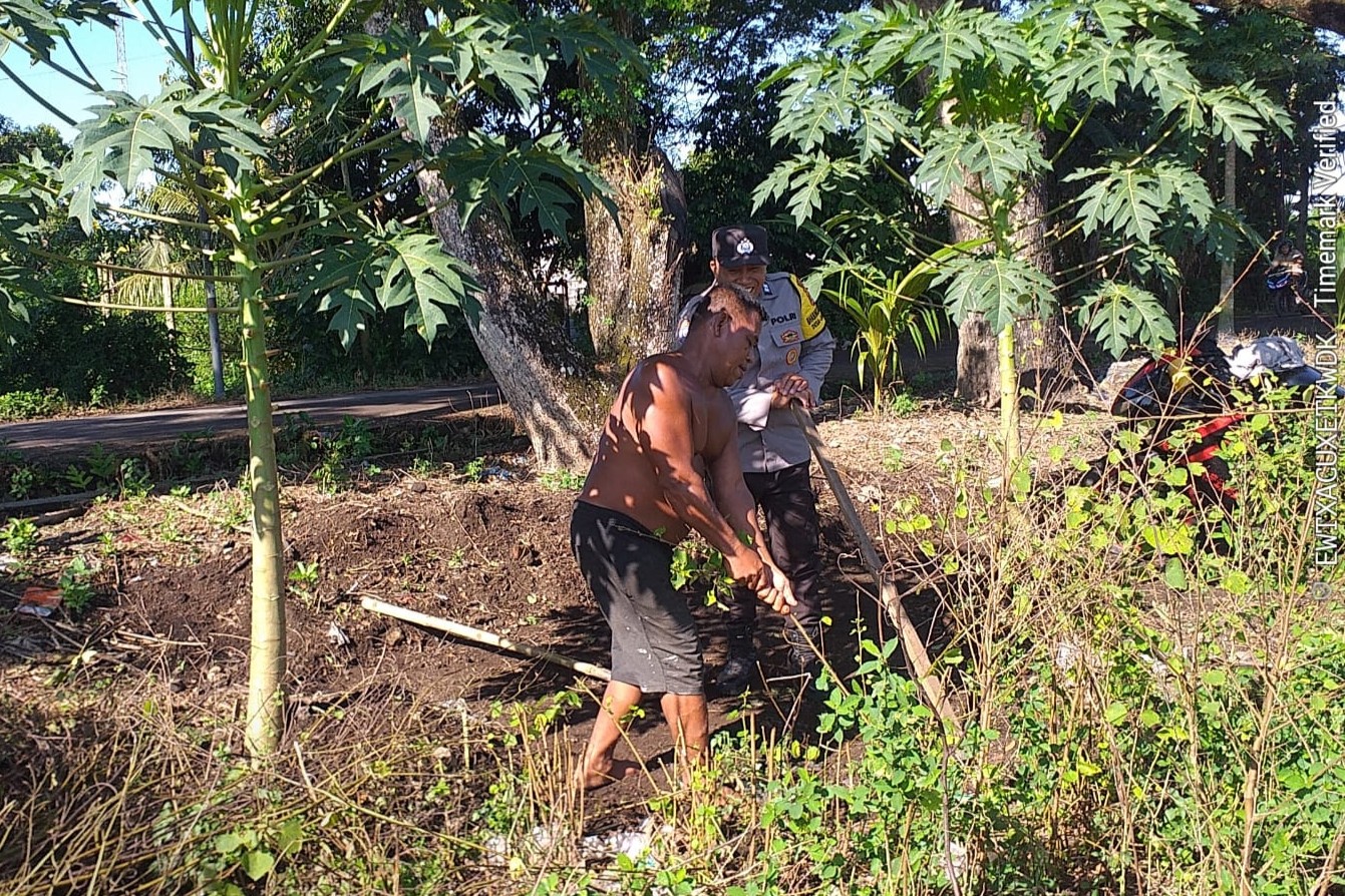 petani, pangan, polisi, Lombok, lahan, binaan, Kuripan