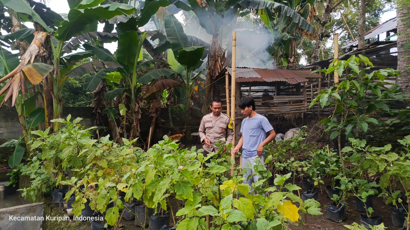 Polsek Kuripan Dampingi Warga Kuripan Utara Sukseskan Program Ketahanan Pangan