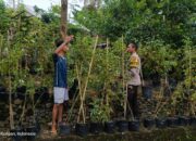 Kunjungan Bhabinkamtibmas: Edukasi Pemuda tentang Ketahanan Pangan Pekarangan