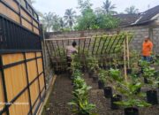 Bhabinkamtibmas Kuripan Sosialisasikan Pemanfaatan Lahan untuk Tanam Pangan