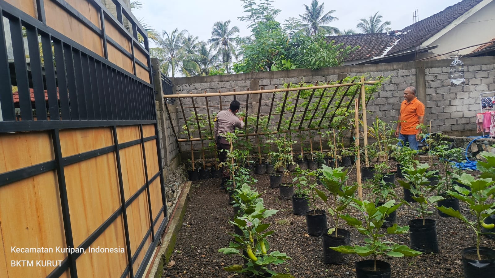 Bhabinkamtibmas Kuripan Sosialisasikan Pemanfaatan Lahan untuk Tanam Pangan
