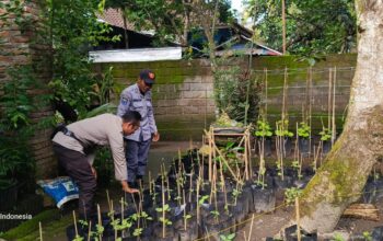 Bhabinkamtibmas Kuripan Edukasi Warga Soal Ketahanan Pangan Lokal
