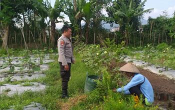 Optimalisasi Lahan untuk Ketahanan Pangan: Langkah Nyata Polri di Lombok Barat
