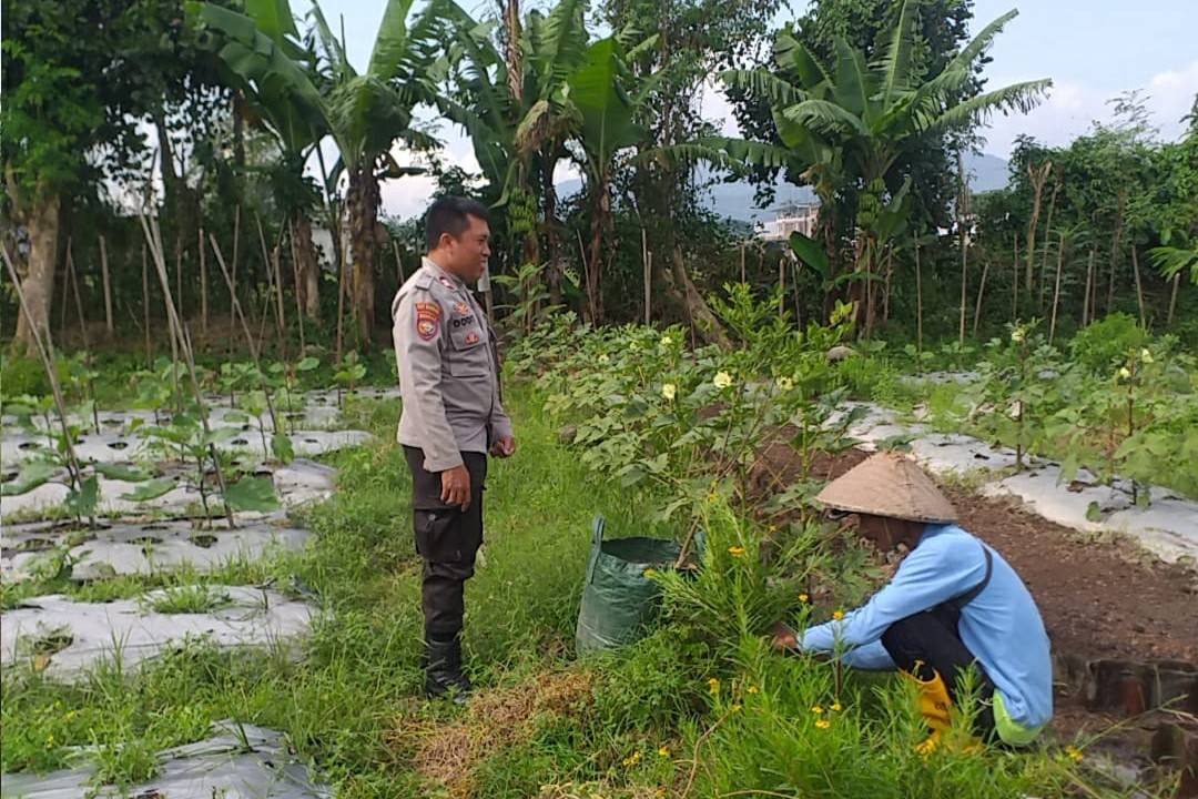 Optimalisasi Lahan untuk Ketahanan Pangan: Langkah Nyata Polri di Lombok Barat