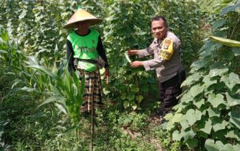 Polsek Labuapi Dukung Ketahanan Pangan, Bhabinkamtibmas Ajak Warga Manfaatkan Lahan Kosong