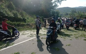 Polisi Kawal Pemangkasan Pohon di Lembar Selatan, Arus Lalin Tetap Lancar