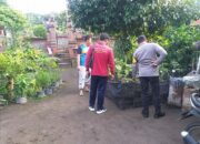 Program Ketahanan Pangan Digencarkan di Desa Jagaraga