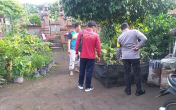 Program Ketahanan Pangan Digencarkan di Desa Jagaraga