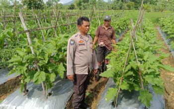 Silaturahmi Kamtibmas dan Pangan: Peran Polisi di Desa