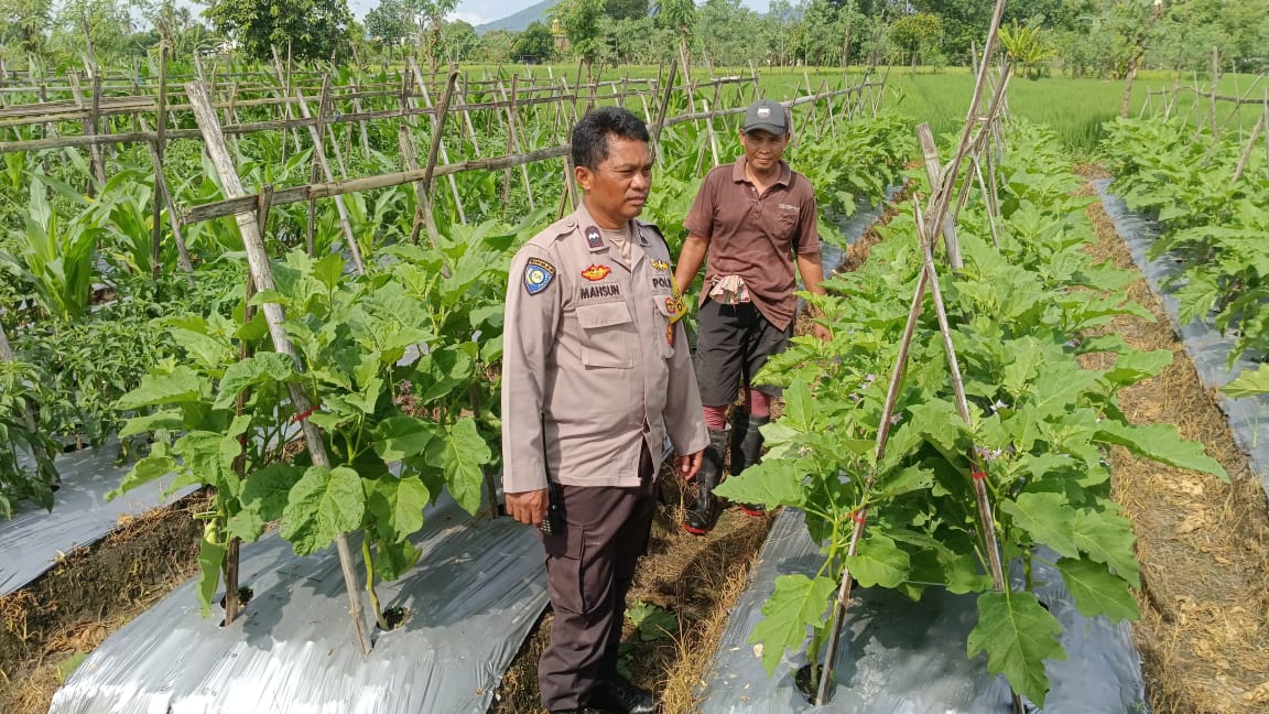Silaturahmi Kamtibmas dan Pangan: Peran Polisi di Desa