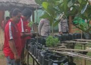 Kolaborasi Polri dan Pertanian dalam Program Pekarangan Bergizi untuk Ketahanan Pangan