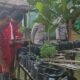 Sinergi Polsek Sekotong dan UPT Pertanian Tingkatkan Ketahanan Pangan di Lombok Barat