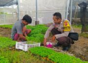 Strategi Polres Lombok Barat Tingkatkan Kemandirian Pangan Masyarakat Desa