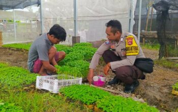 Strategi Polres Lombok Barat Tingkatkan Kemandirian Pangan Masyarakat Desa