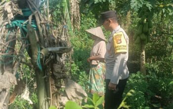 Bhabinkamtibmas Babussalam Gencarkan Ketahanan Pangan di Lombok Barat