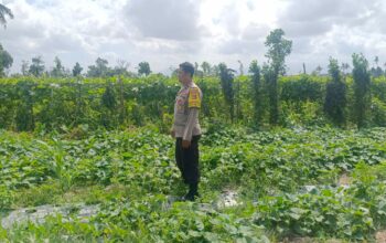 Polri Dukung Ketahanan Pangan di Desa Beleka Lombok Barat
