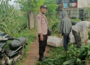 Bhabinkamtibmas Dampingi Panen Jagung di Ombe Baru Dukung Swasembada Pangan