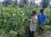 Bhabinkamtibmas Dorong Swasembada Pangan di Desa Montong Are