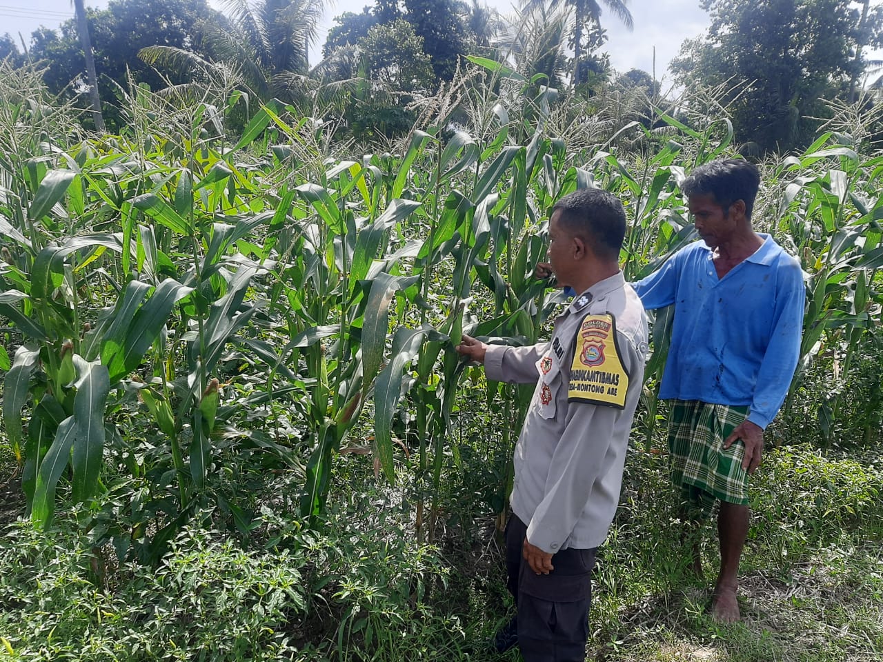 Bhabinkamtibmas Dorong Swasembada Pangan di Desa Montong Are