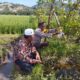 Sinergi Polri dan Petani di Gerung Perkuat Ketahanan Pangan
