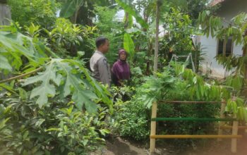 Ketahanan Pangan Dimulai dari Pekarangan: Inisiatif Polsek Gerung